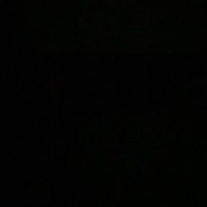 Meet your Posher, Rosy